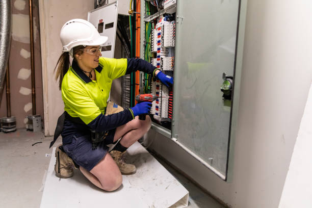 Best Electric Panel Repair  in Camn, DE